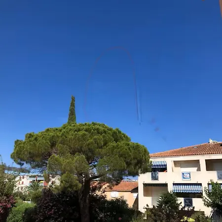 Coralines 500 M